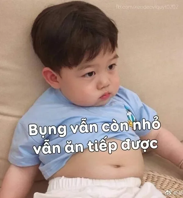 meme em bé mập mạp