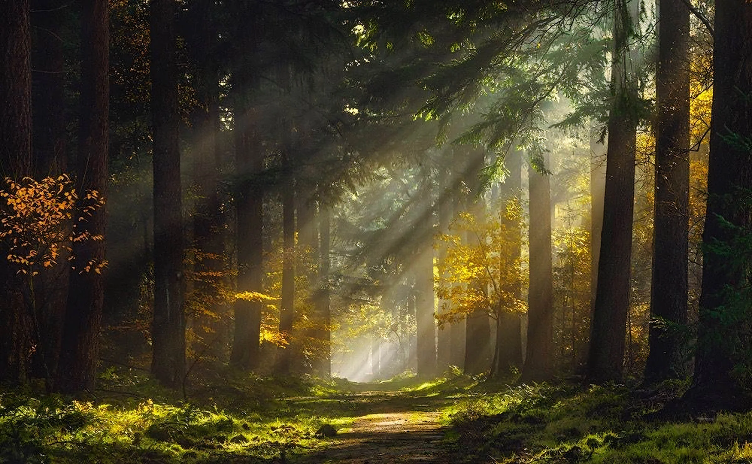 98+ Hình Nền Máy Tính 4K 1920x1080 Siêu Đẹp Chill Thiên Nhiên