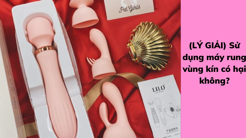 LÝ GIẢI) Sử dụng máy rung vùng kín có hại không? - Kiều Anh Shop (3)