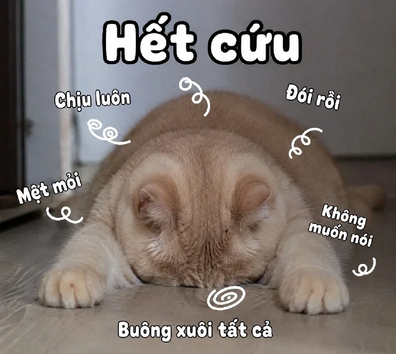 Full meme hết cứu nổi – Ảnh chế gọi cấp cứu cứu tao