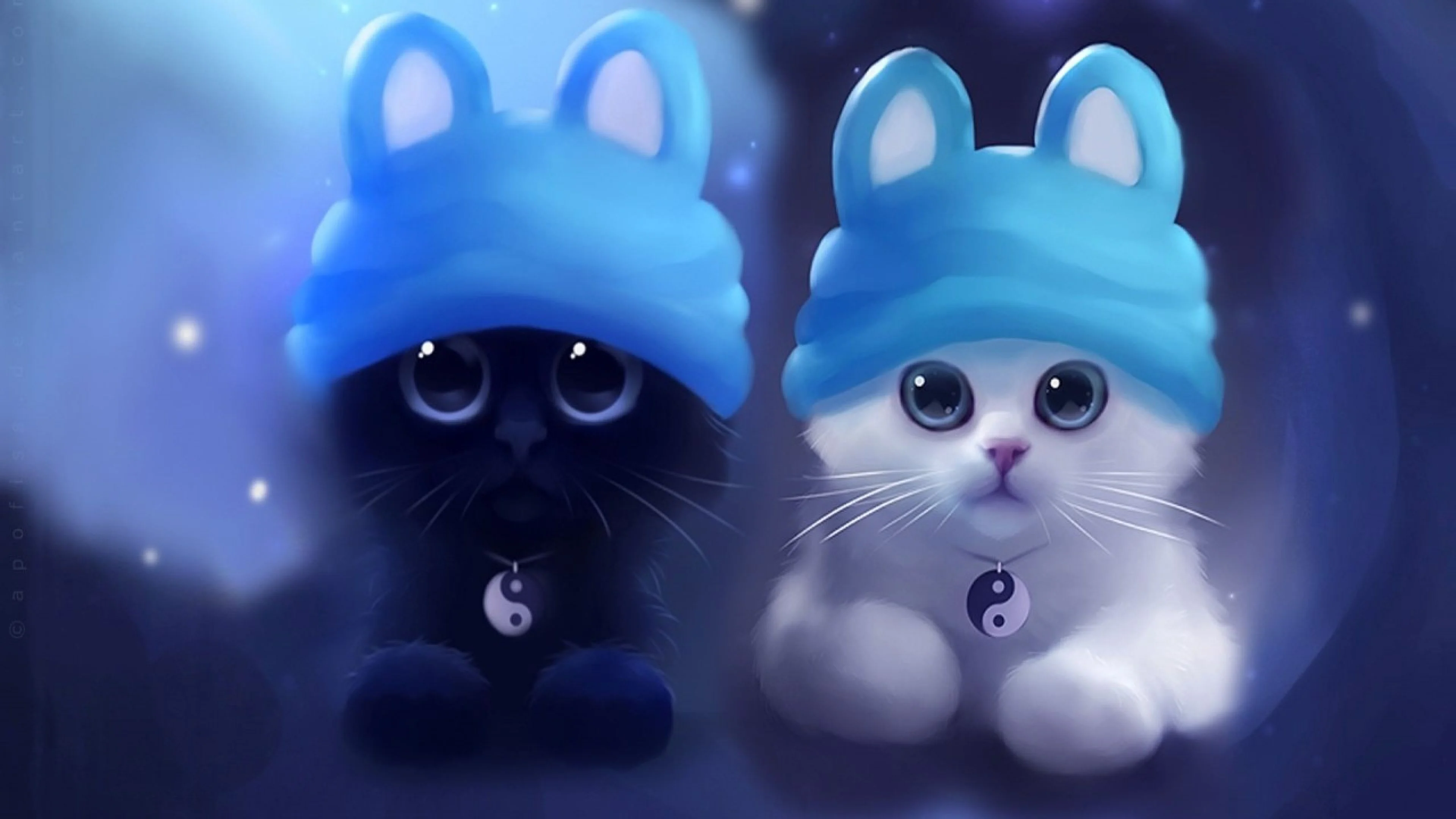 Hình nền cute đêm xanh với hai mèo con đội mũ len xanh dễ thương