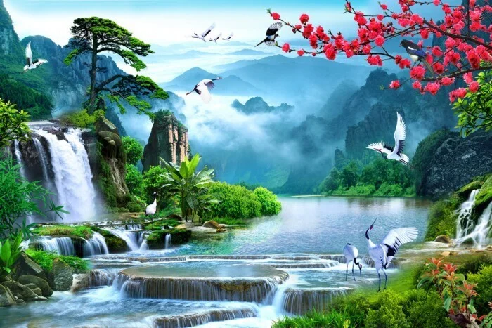 Album ảnh thiên nhiên (20)