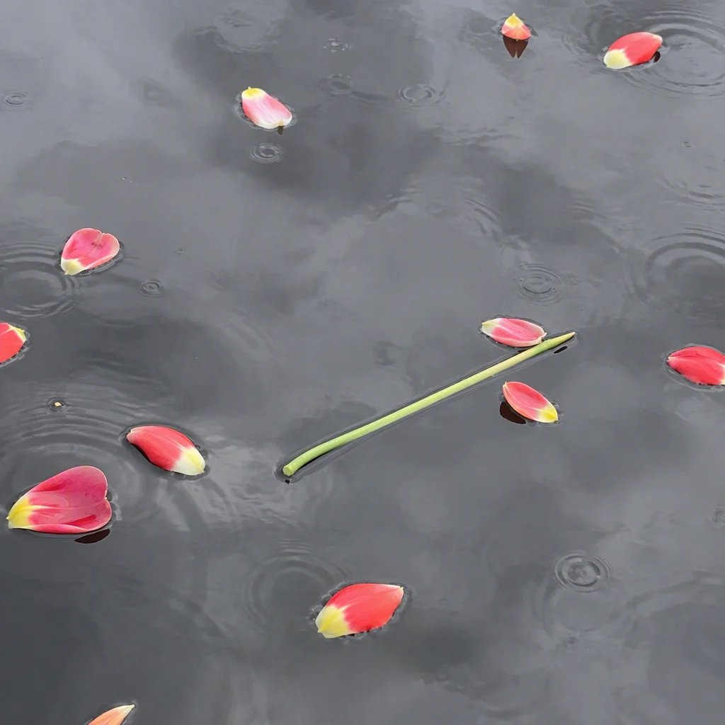 Mẫu vẽ hoa tulip thứ 15