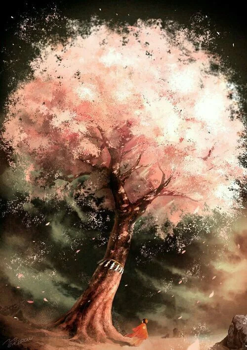 TOP 100+ Hình nền hoa anh đào anime cực đẹp nhất hiện nay %currentyear% 76