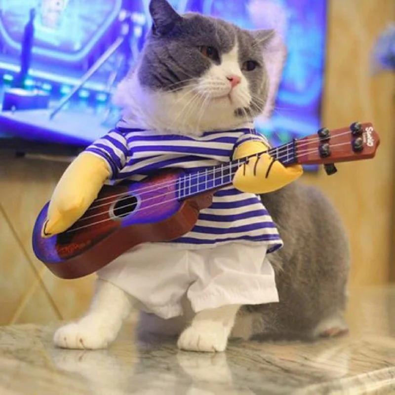 hinh anh meo cute 16